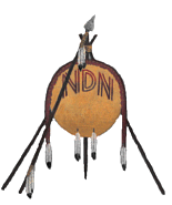 NDN - Shield